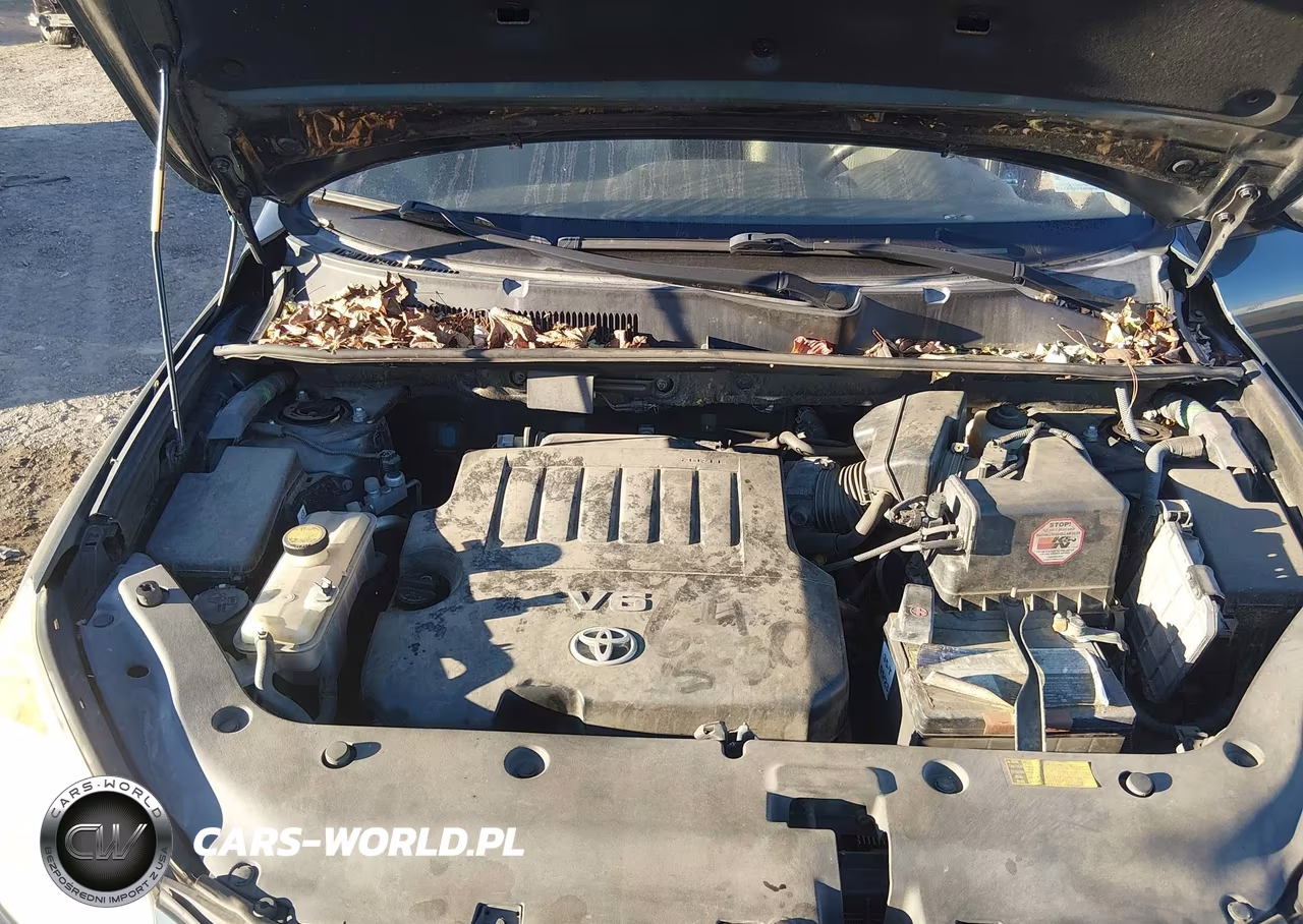 2010 Toyota Rav4 Base V6 VIN:JTMBK4DV8A5098067 - 10