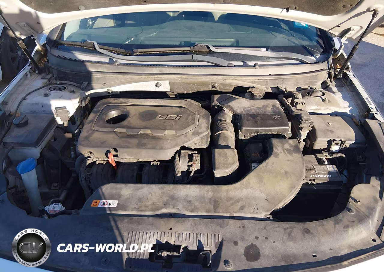 2016 Hyundai Sonata Se VIN:5NPE24AF1GH318524 - 10
