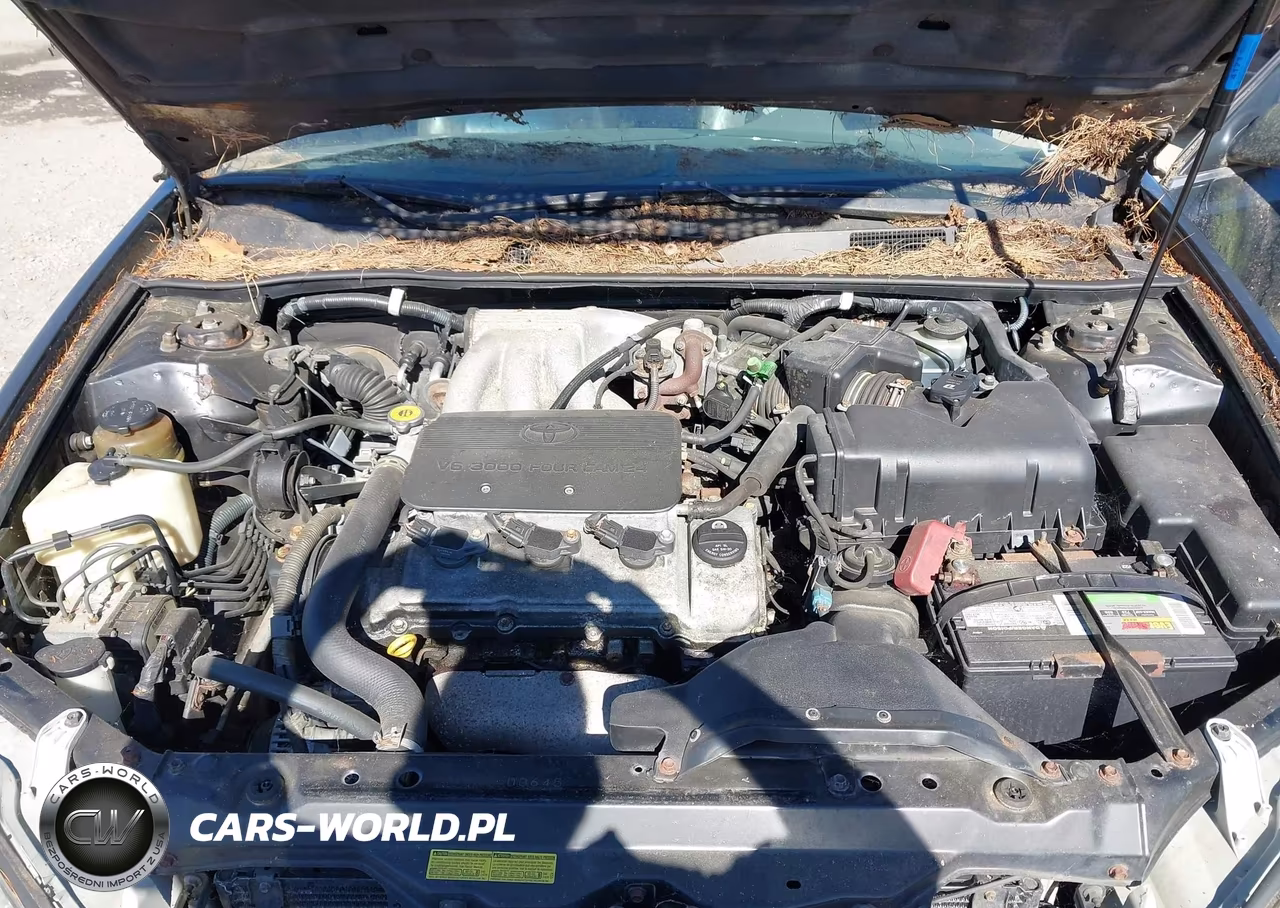 2003 Toyota Camry Xle V6 VIN:4T1BF30K13U036704 - 10