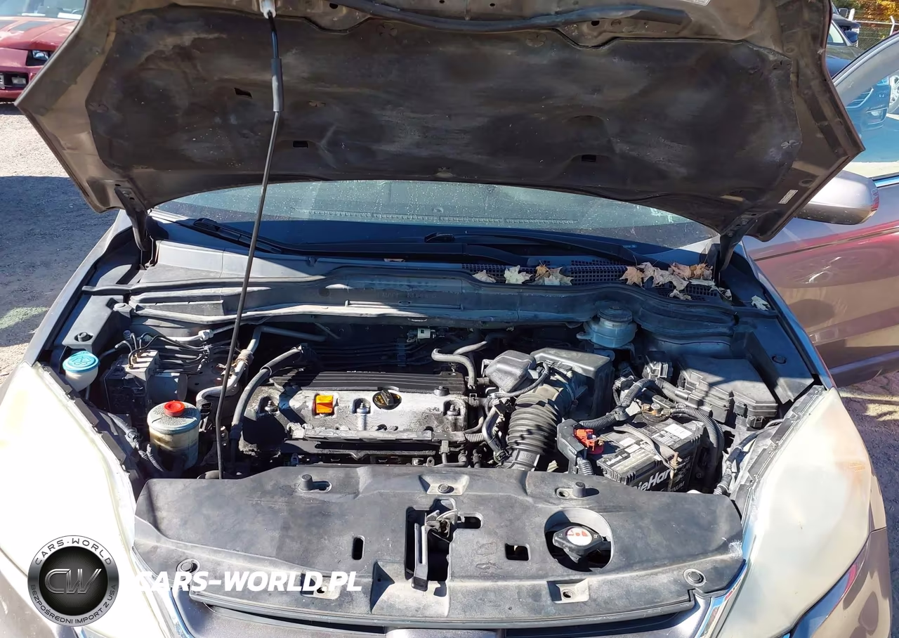 2010 Honda Cr-V Exl VIN:5J6RE4H74AL019890 - 10
