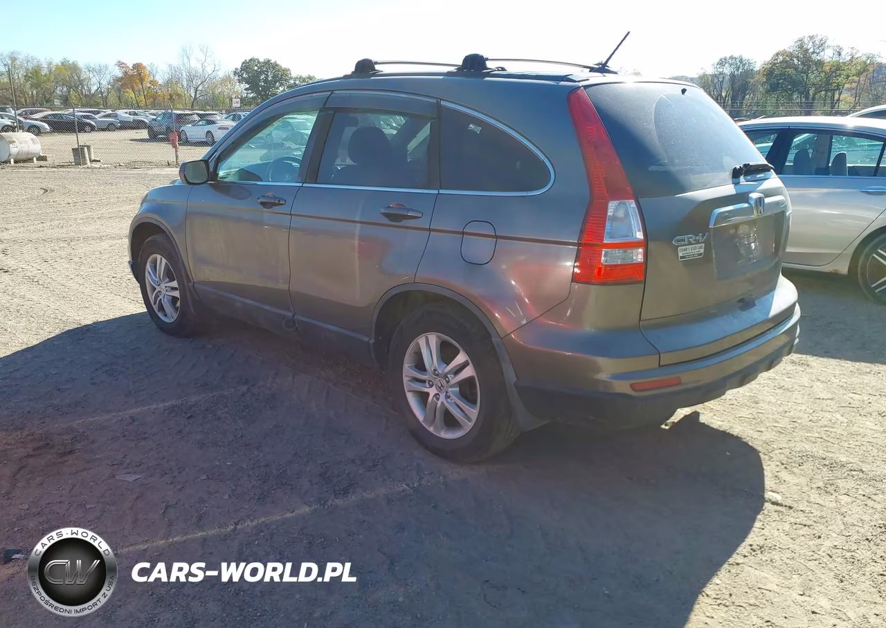 2010 Honda Cr-V Exl VIN:5J6RE4H74AL019890 - 3