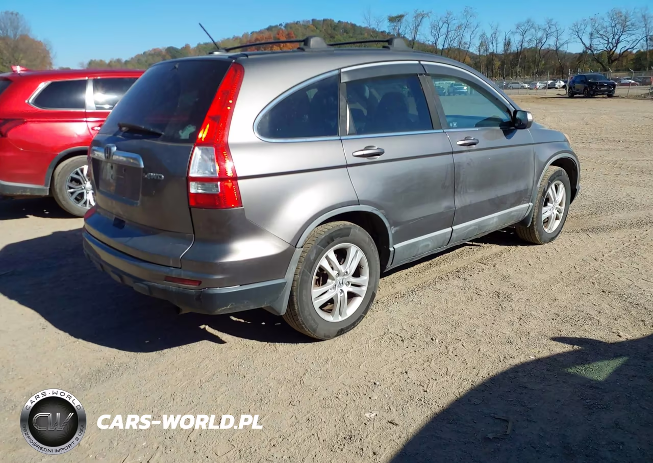 2010 Honda Cr-V Exl VIN:5J6RE4H74AL019890 - 4
