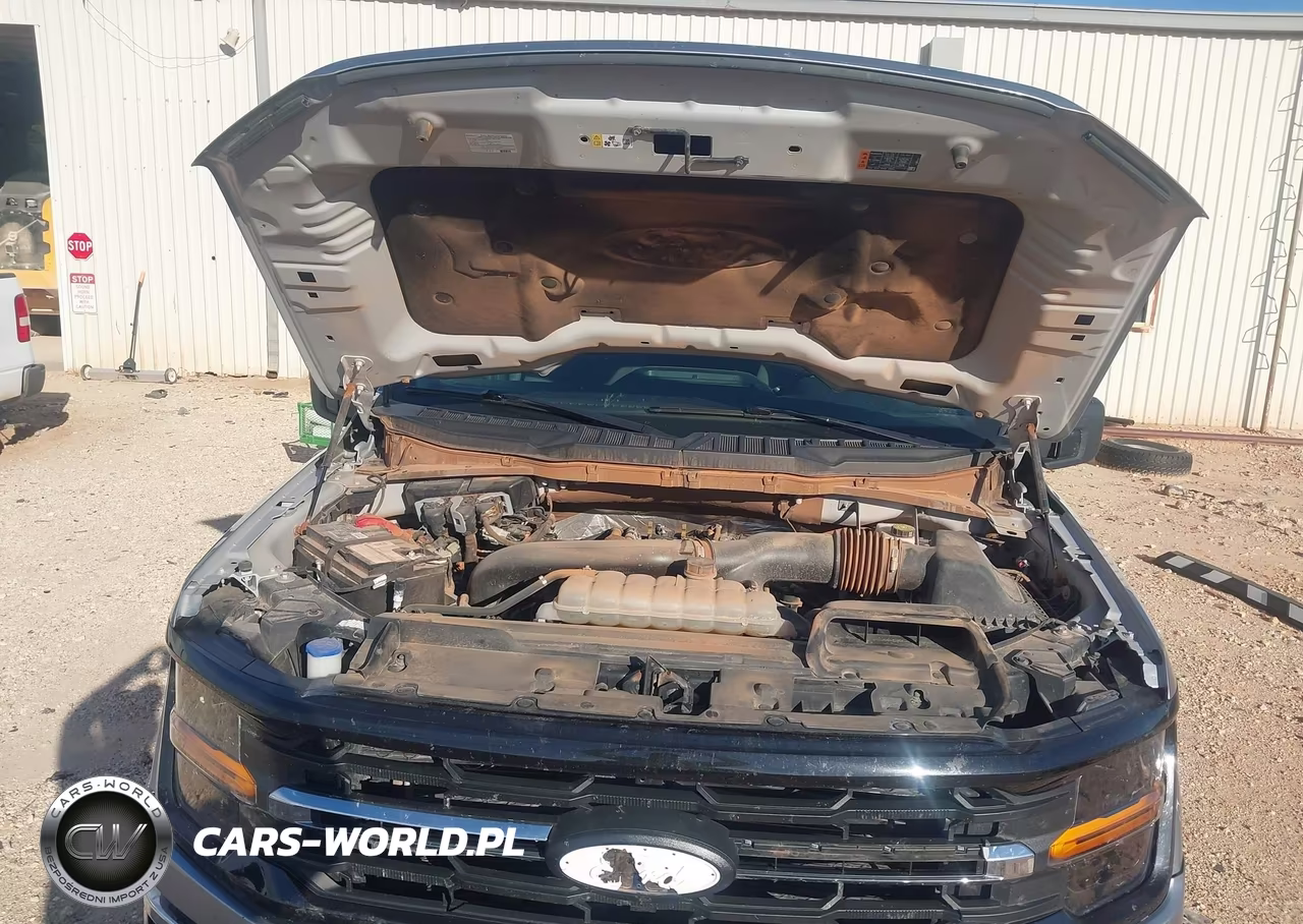 2025 Ford F-150 Xlt VIN:1FTFW3L84SKD38228 - 10