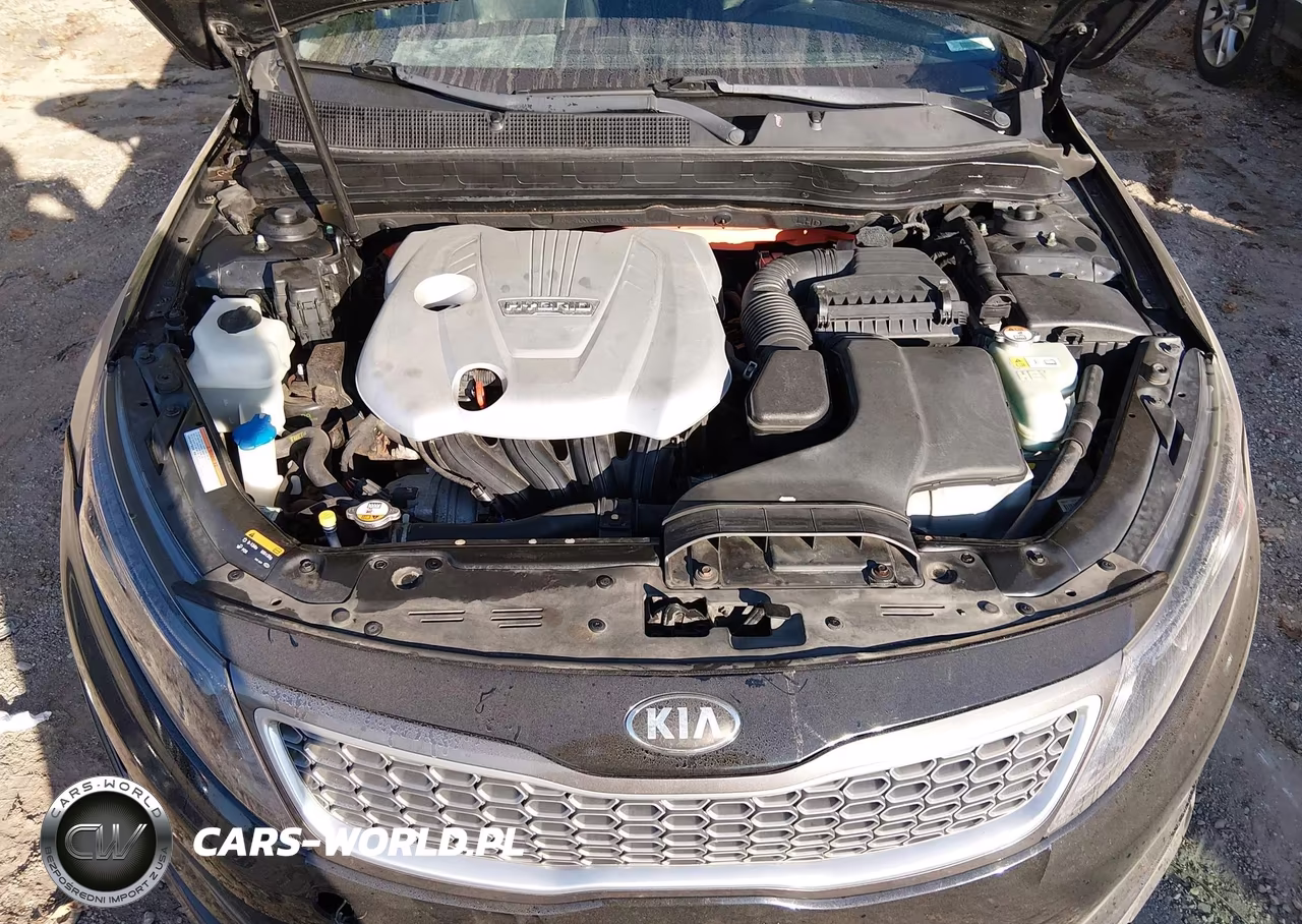 2014 Kia Optima Hybrid Ex VIN:KNAGN4AD9E5076008 - 10