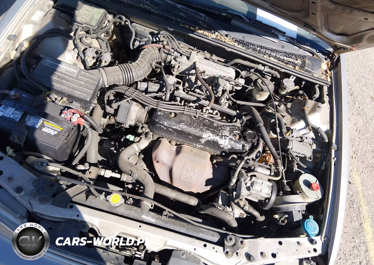 1993 Honda Accord Lx VIN:1HGCB7550PA190893 - 10
