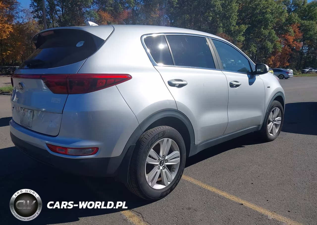 2017 Kia Sportage Lx VIN:KNDPMCAC1H7035694 - 4