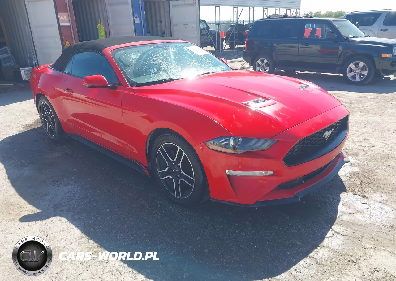 2019 Ford Mustang Ecoboost Premium VIN:1FATP8UH2K5109479 - 1
