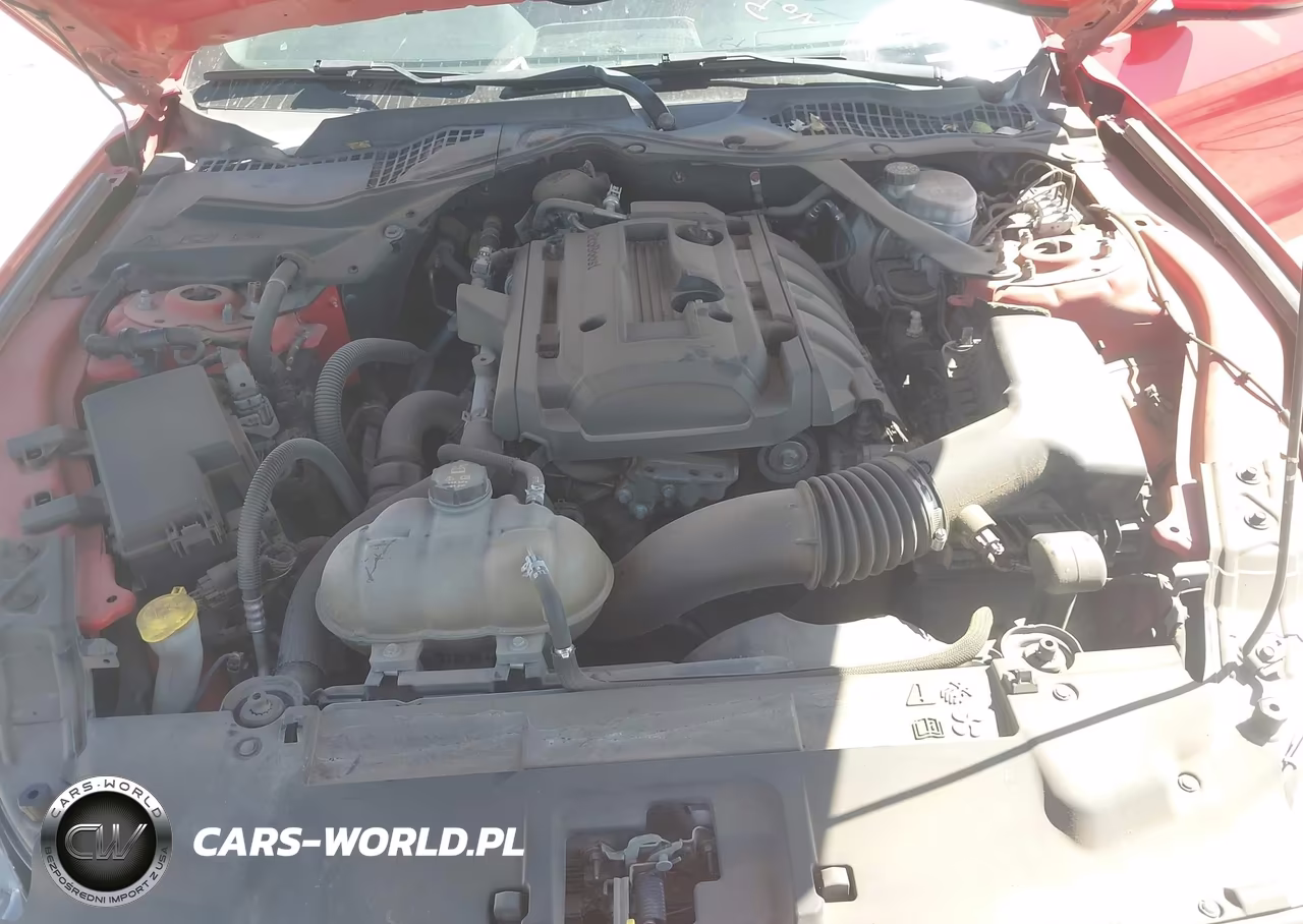 2019 Ford Mustang Ecoboost Premium VIN:1FATP8UH2K5109479 - 10