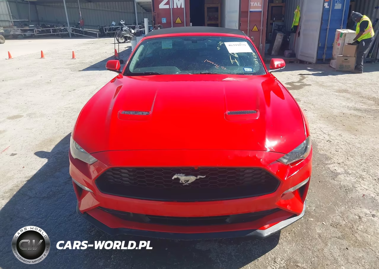 2019 Ford Mustang Ecoboost Premium VIN:1FATP8UH2K5109479 - 12