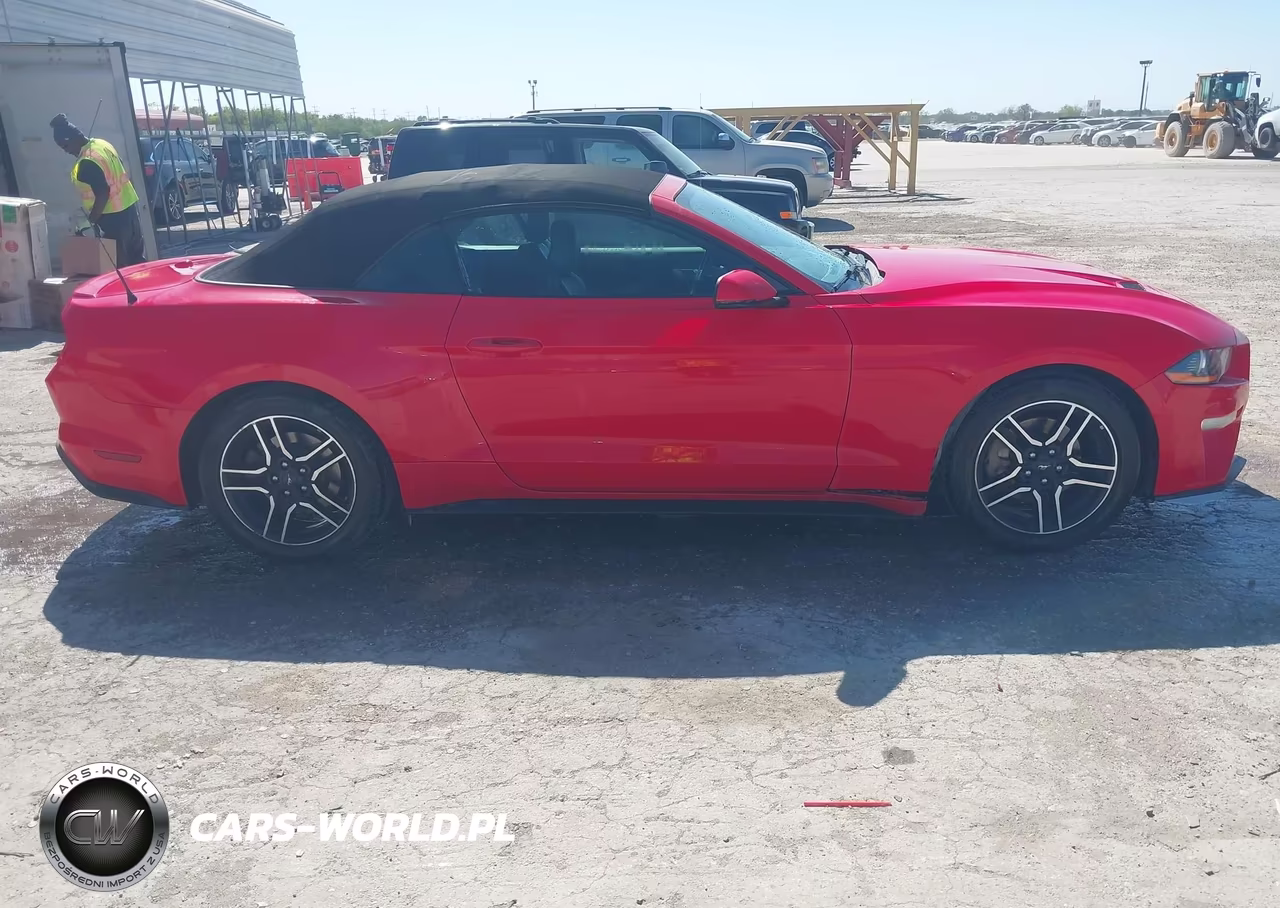 2019 Ford Mustang Ecoboost Premium VIN:1FATP8UH2K5109479 - 13