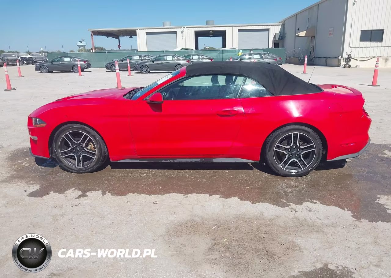 2019 Ford Mustang Ecoboost Premium VIN:1FATP8UH2K5109479 - 14