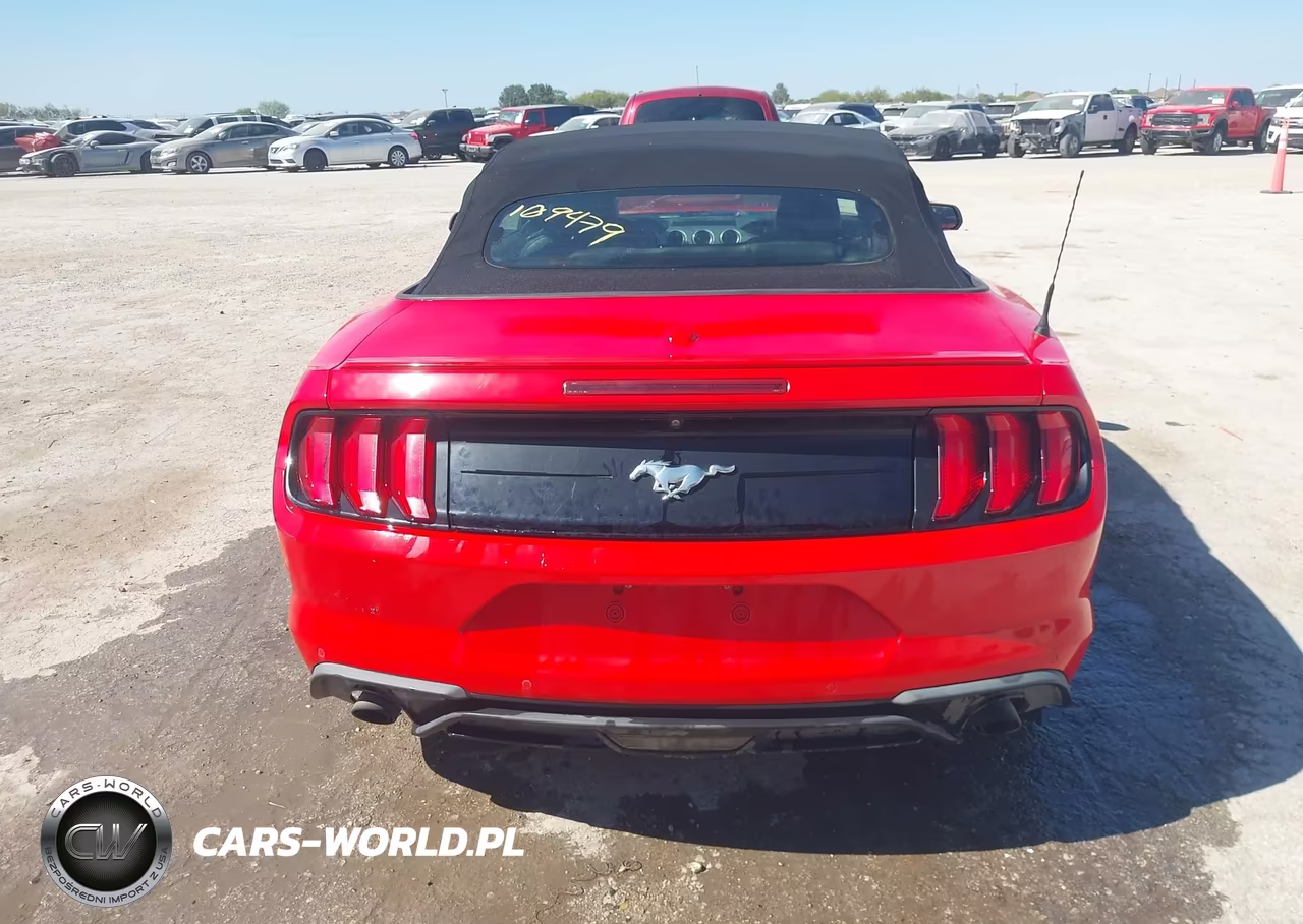 2019 Ford Mustang Ecoboost Premium VIN:1FATP8UH2K5109479 - 16
