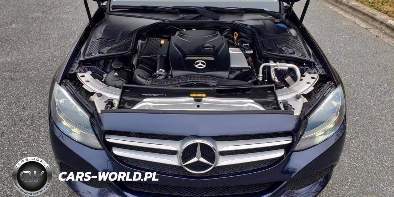 2017 Mercedes-Benz C 300 4Matic VIN:55SWF4KBXHU216920 - 9