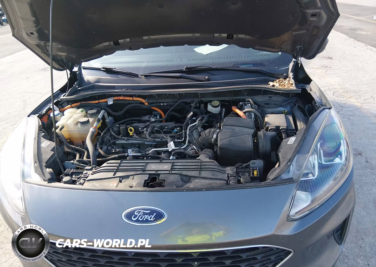 2022 Ford Escape Se Hybrid VIN:1FMCU9BZ5NUA48686 - 10