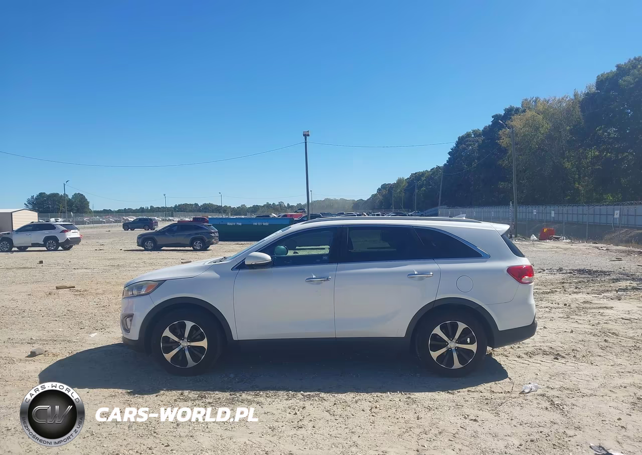 2016 Kia Sorento 3.3L Ex VIN:5XYPH4A57GG077350 - 14