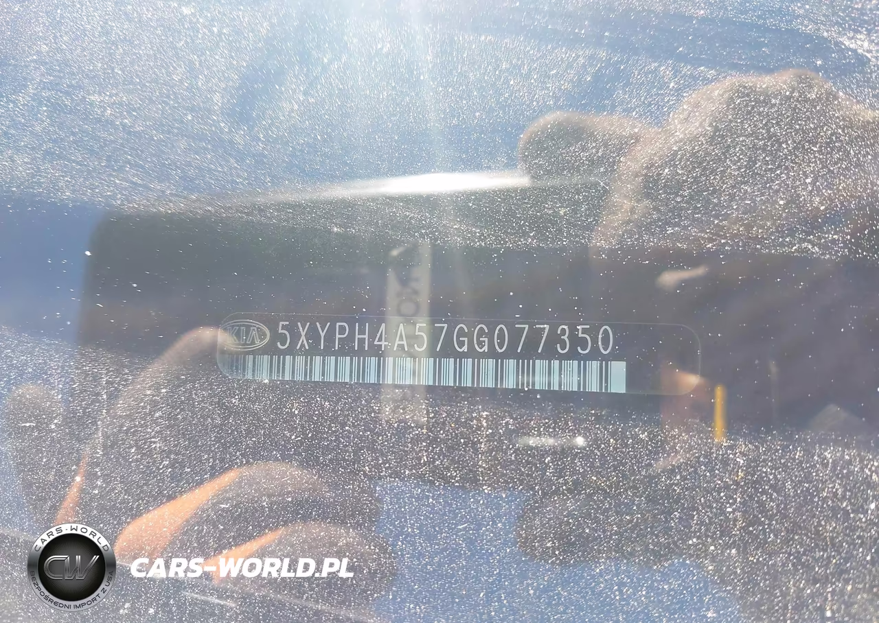 2016 Kia Sorento 3.3L Ex VIN:5XYPH4A57GG077350 - 17