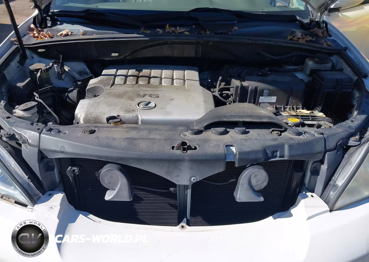 2007 Lexus Rx 350 VIN:2T2GK31UX7C025110 - 10