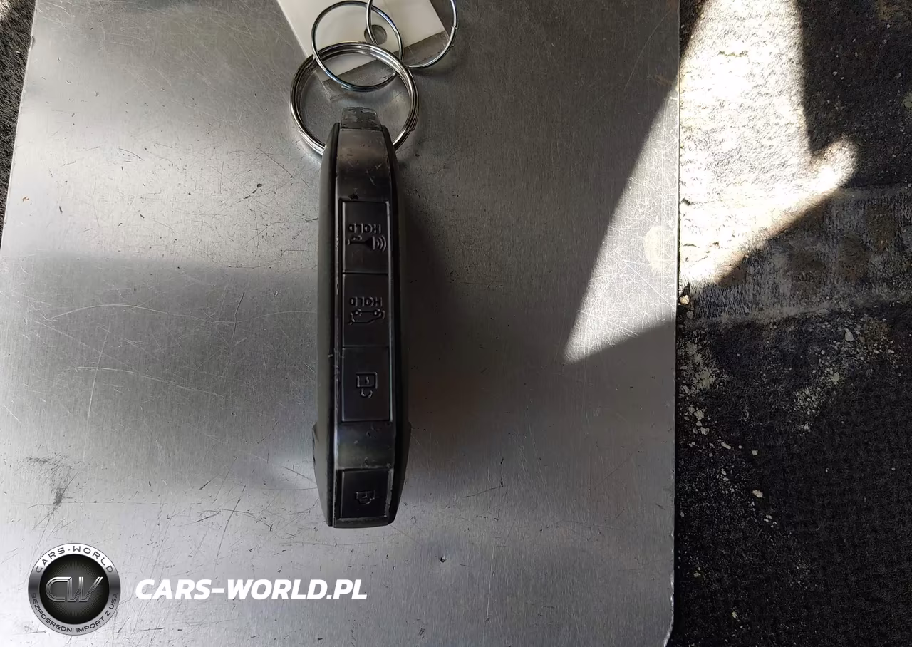 2023 Kia Telluride Sx Prestige X-Line VIN:5XYP5DGC2PG358275 - 11