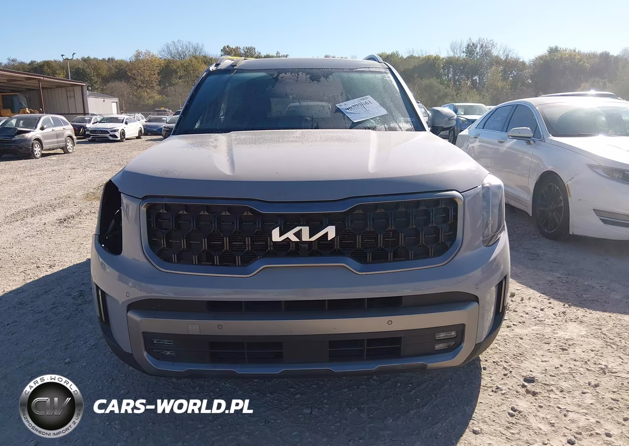 2023 Kia Telluride Sx Prestige X-Line VIN:5XYP5DGC2PG358275 - 13