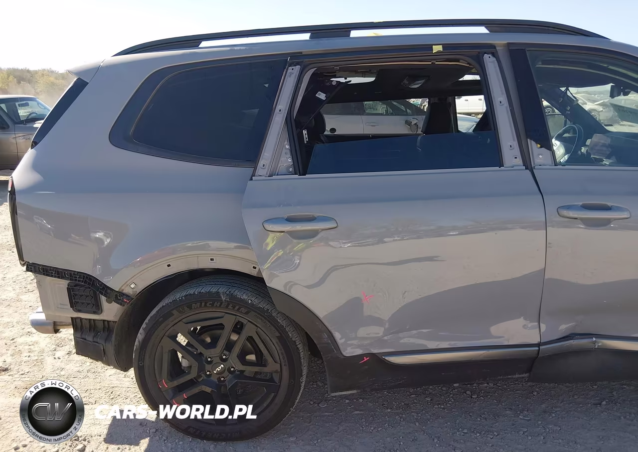 2023 Kia Telluride Sx Prestige X-Line VIN:5XYP5DGC2PG358275 - 19