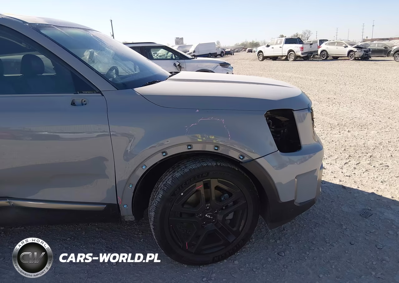 2023 Kia Telluride Sx Prestige X-Line VIN:5XYP5DGC2PG358275 - 20