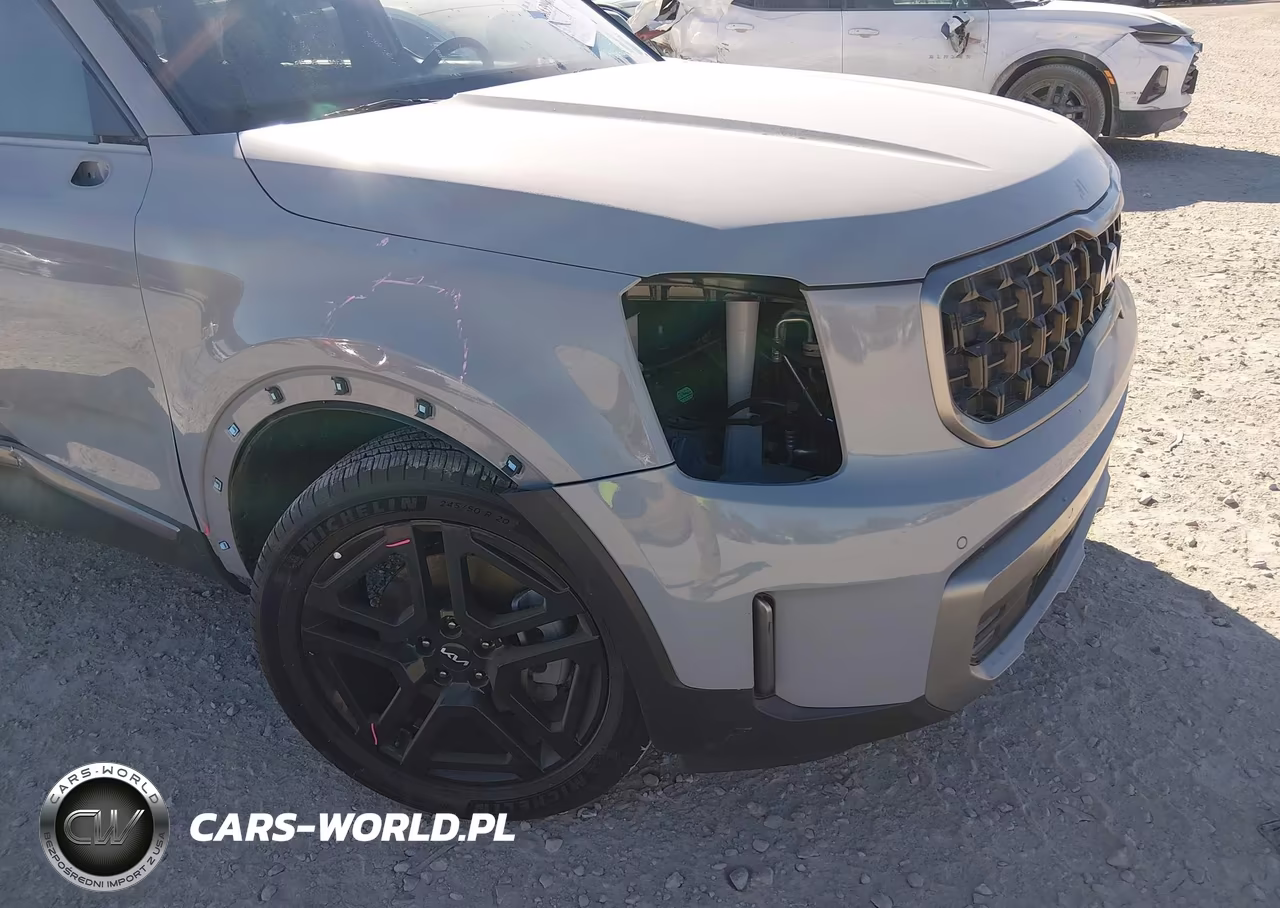 2023 Kia Telluride Sx Prestige X-Line VIN:5XYP5DGC2PG358275 - 21
