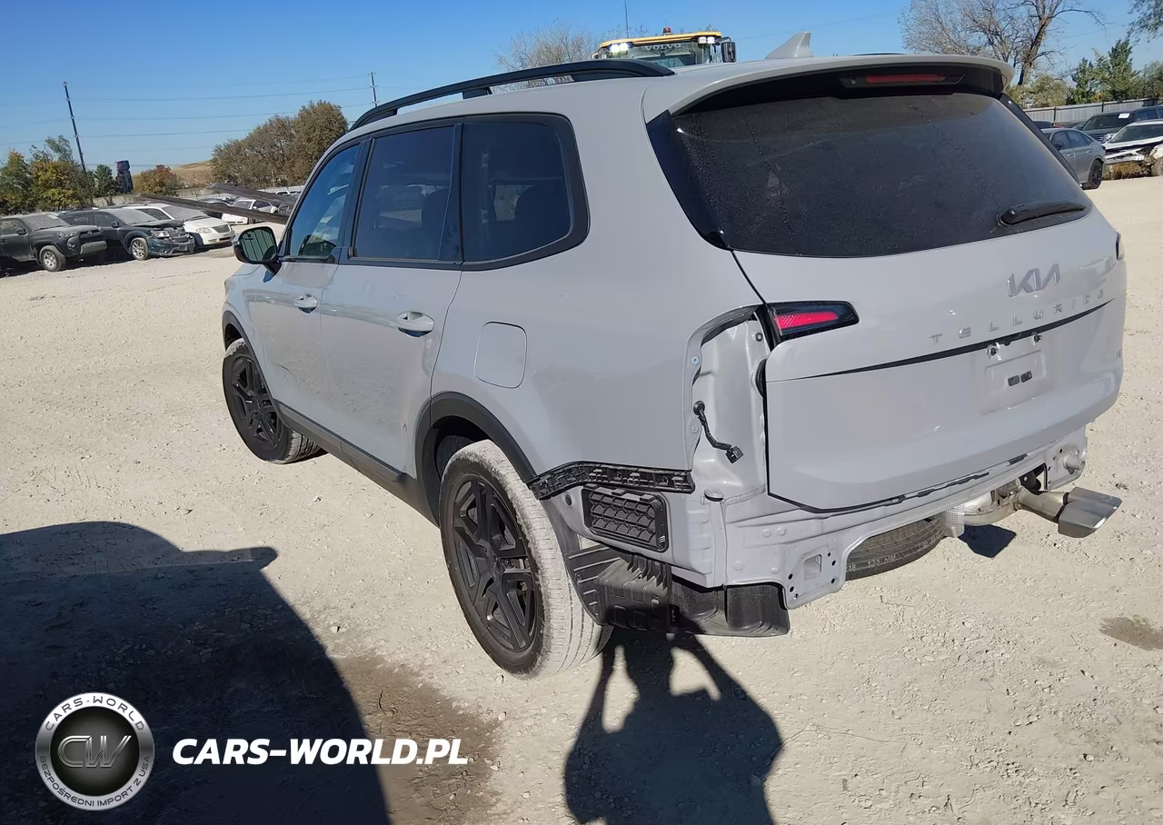 2023 Kia Telluride Sx Prestige X-Line VIN:5XYP5DGC2PG358275 - 3