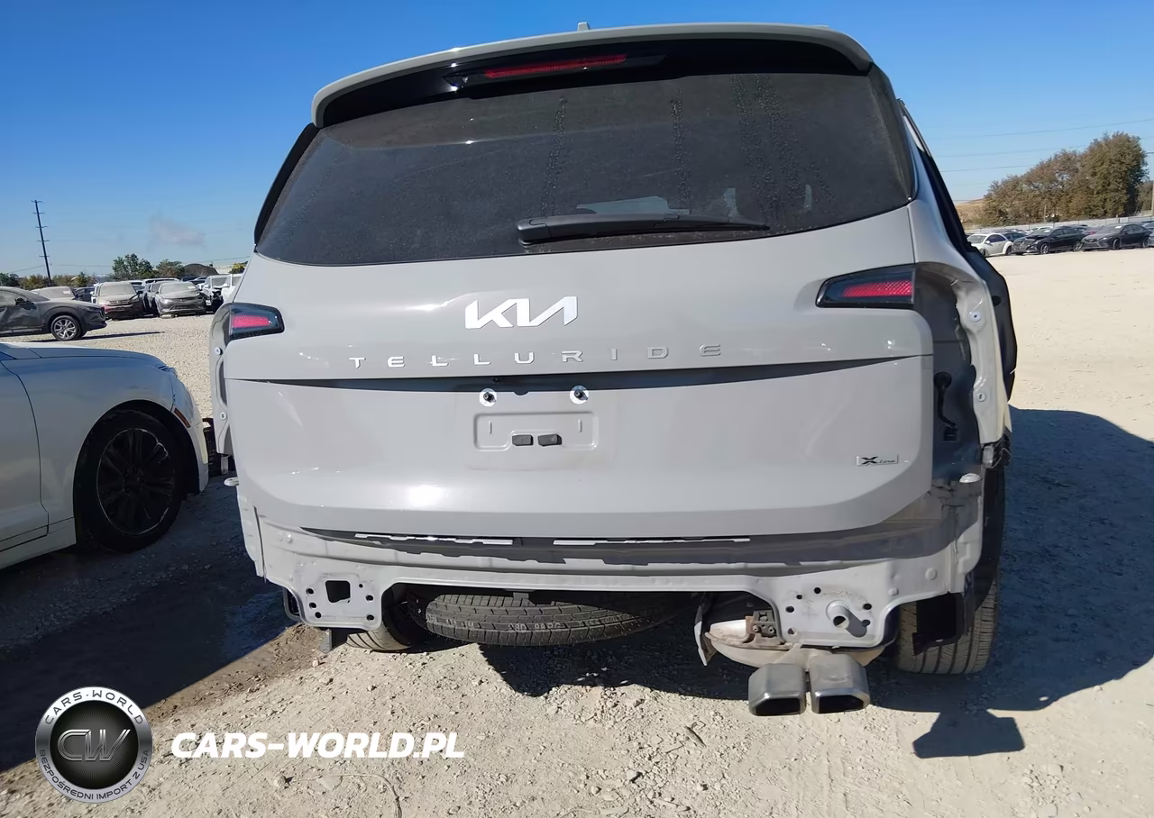 2023 Kia Telluride Sx Prestige X-Line VIN:5XYP5DGC2PG358275 - 6
