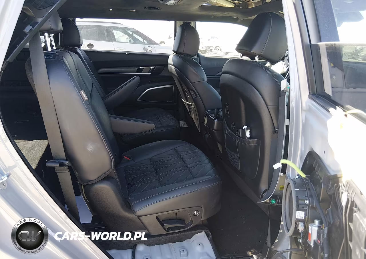 2023 Kia Telluride Sx Prestige X-Line VIN:5XYP5DGC2PG358275 - 8