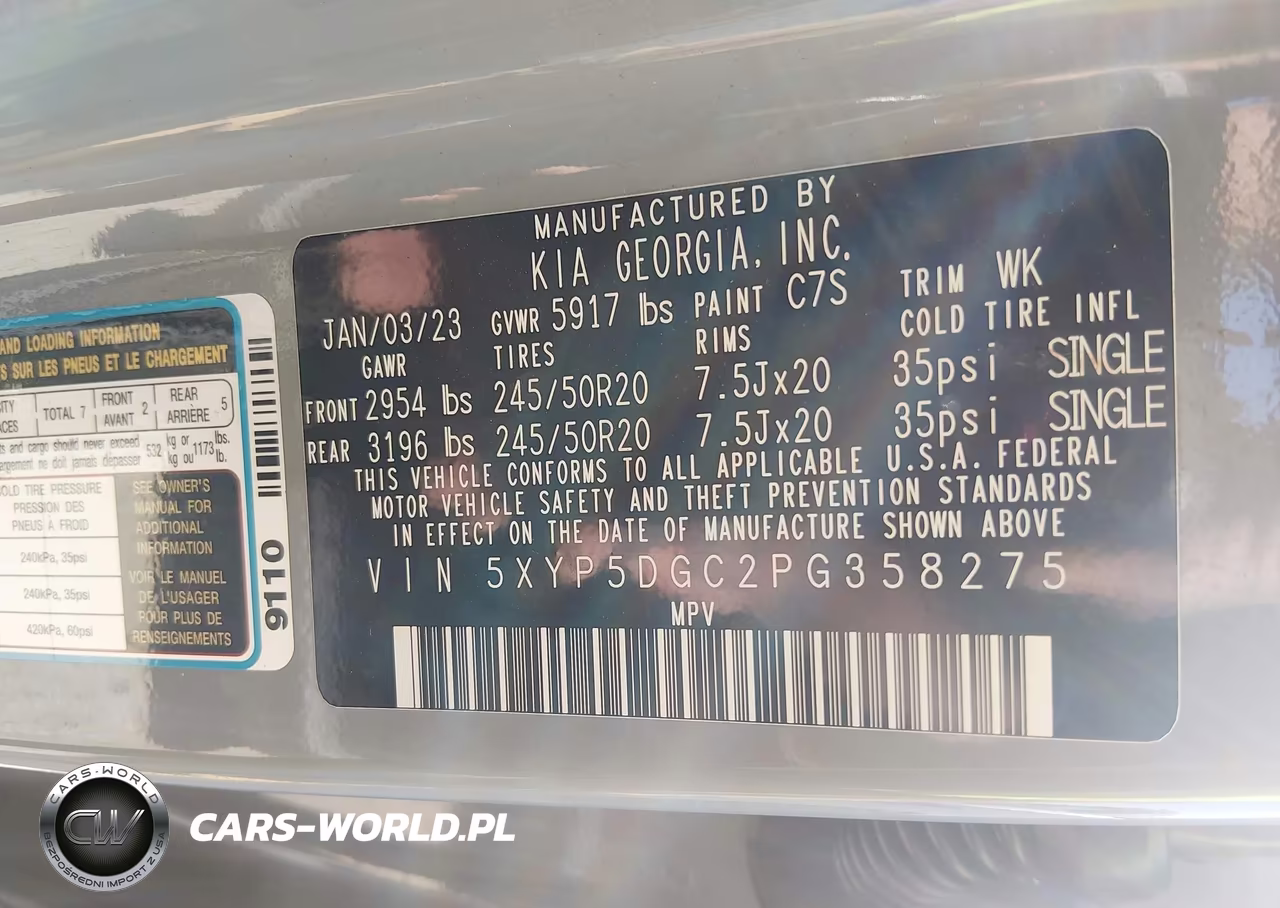 2023 Kia Telluride Sx Prestige X-Line VIN:5XYP5DGC2PG358275 - 9
