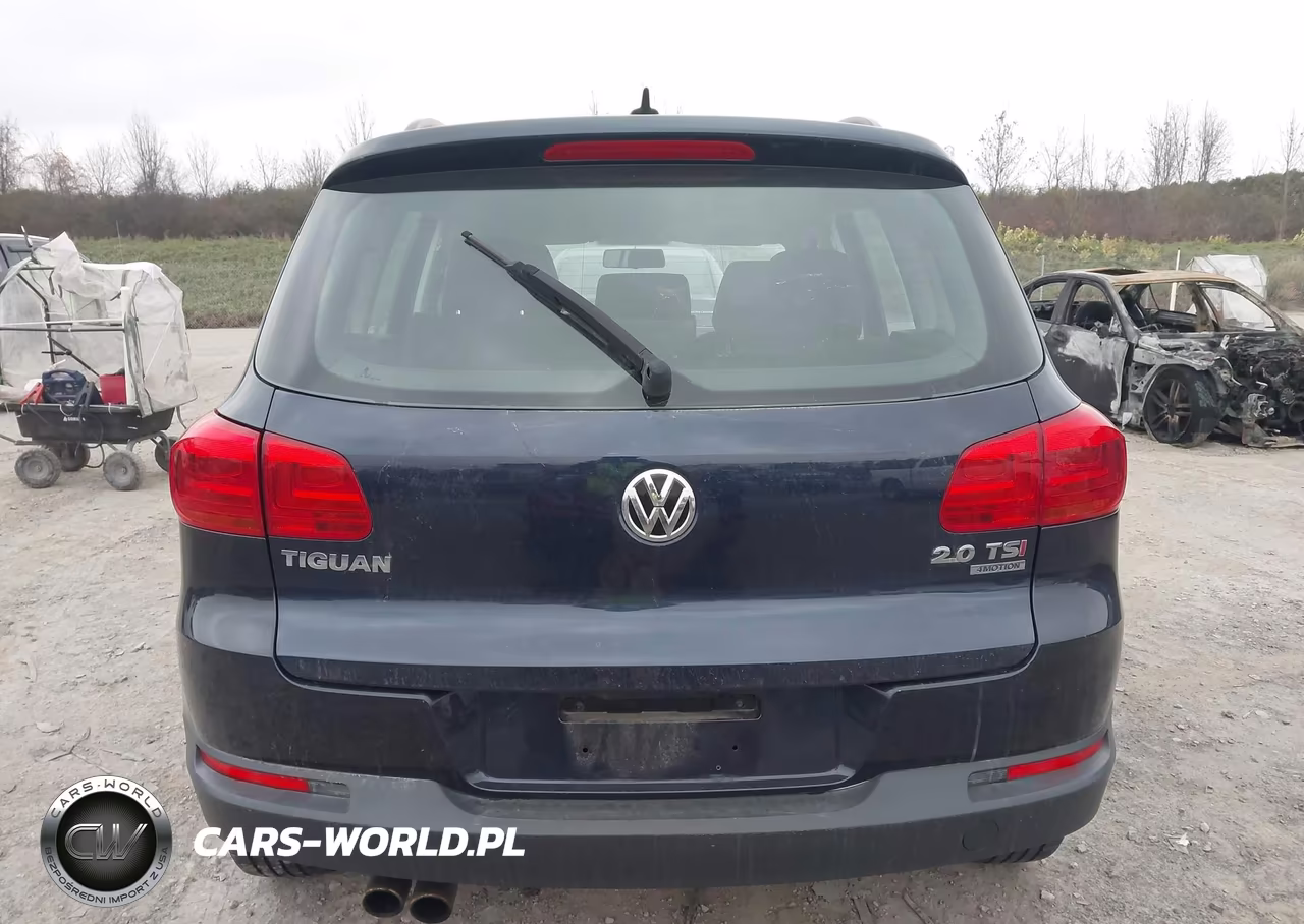 2015 Volkswagen Tiguan S VIN:WVGBV7AX1FW589012 - 16