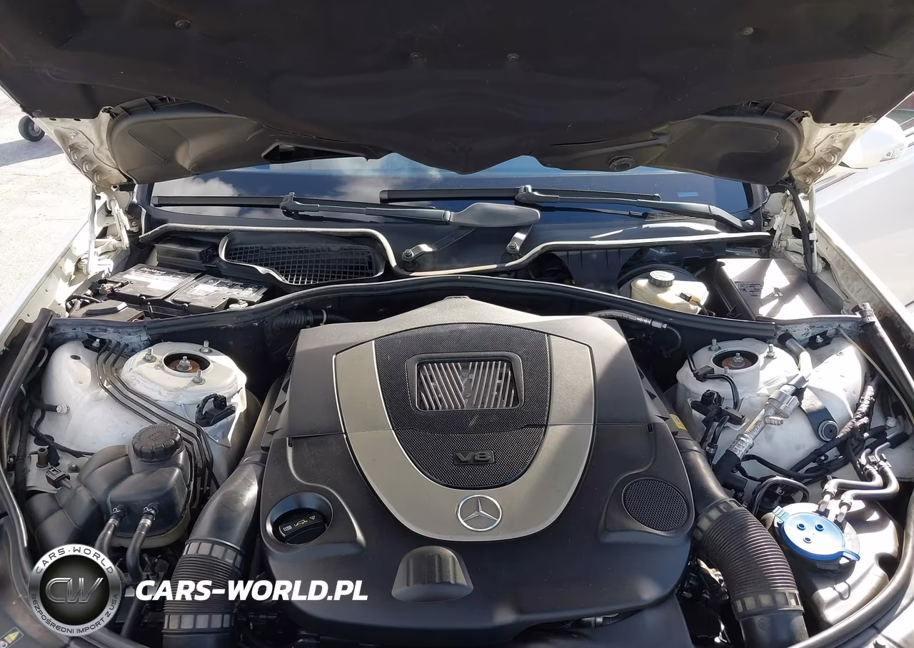2009 Mercedes-Benz S 550 4Matic VIN:WDDNG86X19A276494 - 10