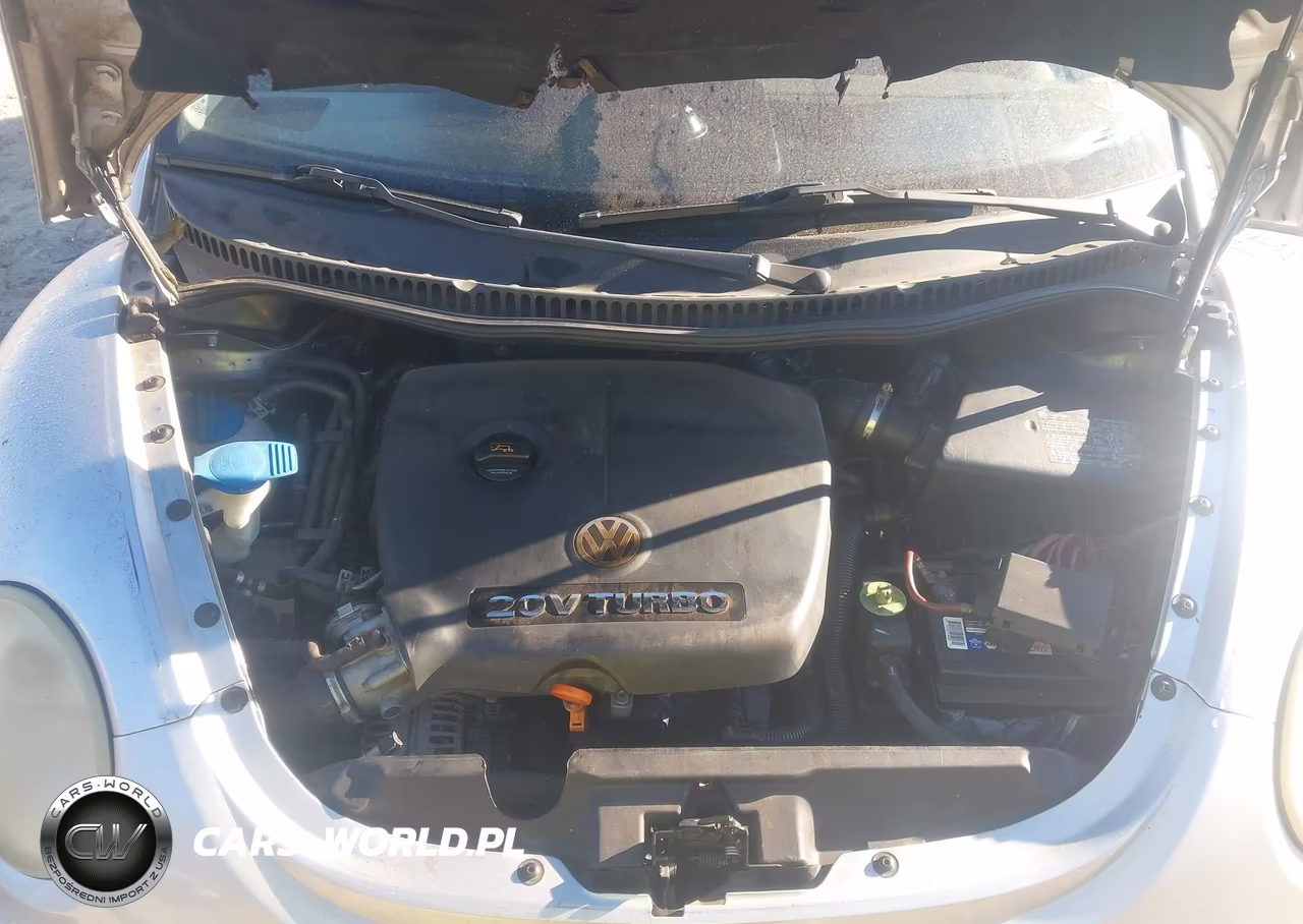 2005 Volkswagen New Beetle Gls 1.8T VIN:3VWCD31Y65M367428 - 10