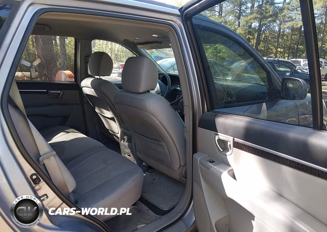 2007 Hyundai Santa Fe Gls VIN:5NMSG13D77H096602 - 8