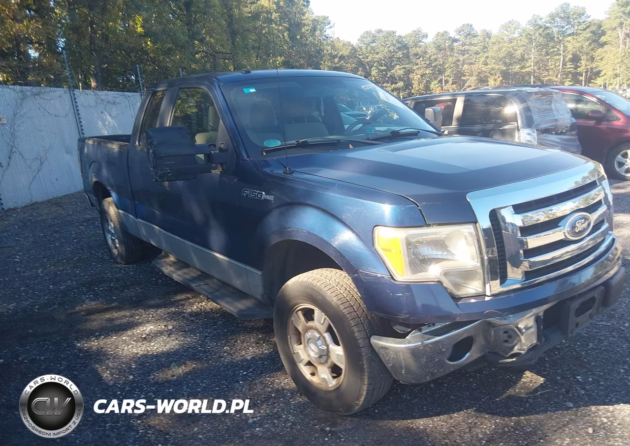 2010 Ford F-150 Xlt – zdjęcie 1 z 12