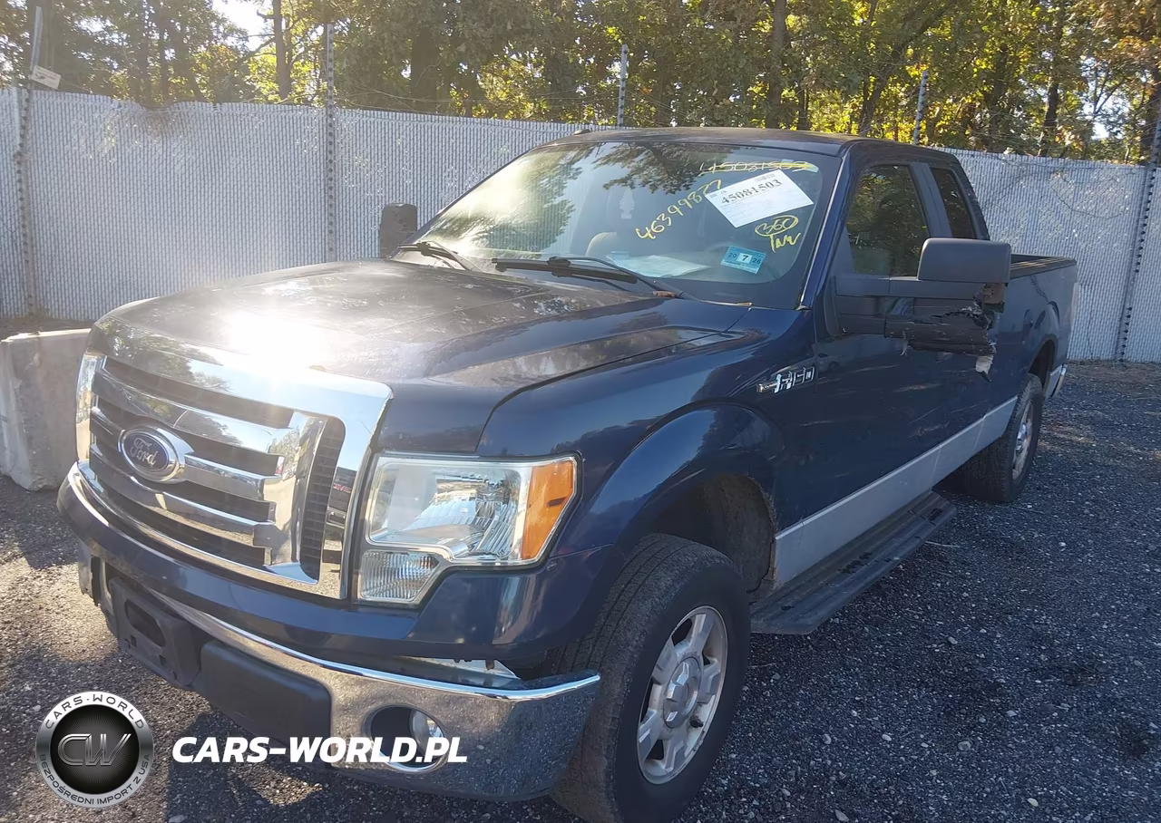 2010 Ford F-150 Xlt VIN:1FTEX1C80AFD69691 - 2