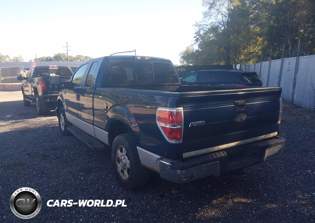 2010 Ford F-150 Xlt VIN:1FTEX1C80AFD69691 - 3