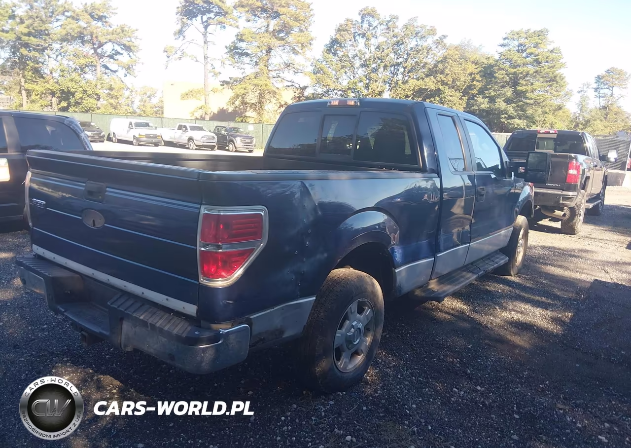 2010 Ford F-150 Xlt VIN:1FTEX1C80AFD69691 - 4