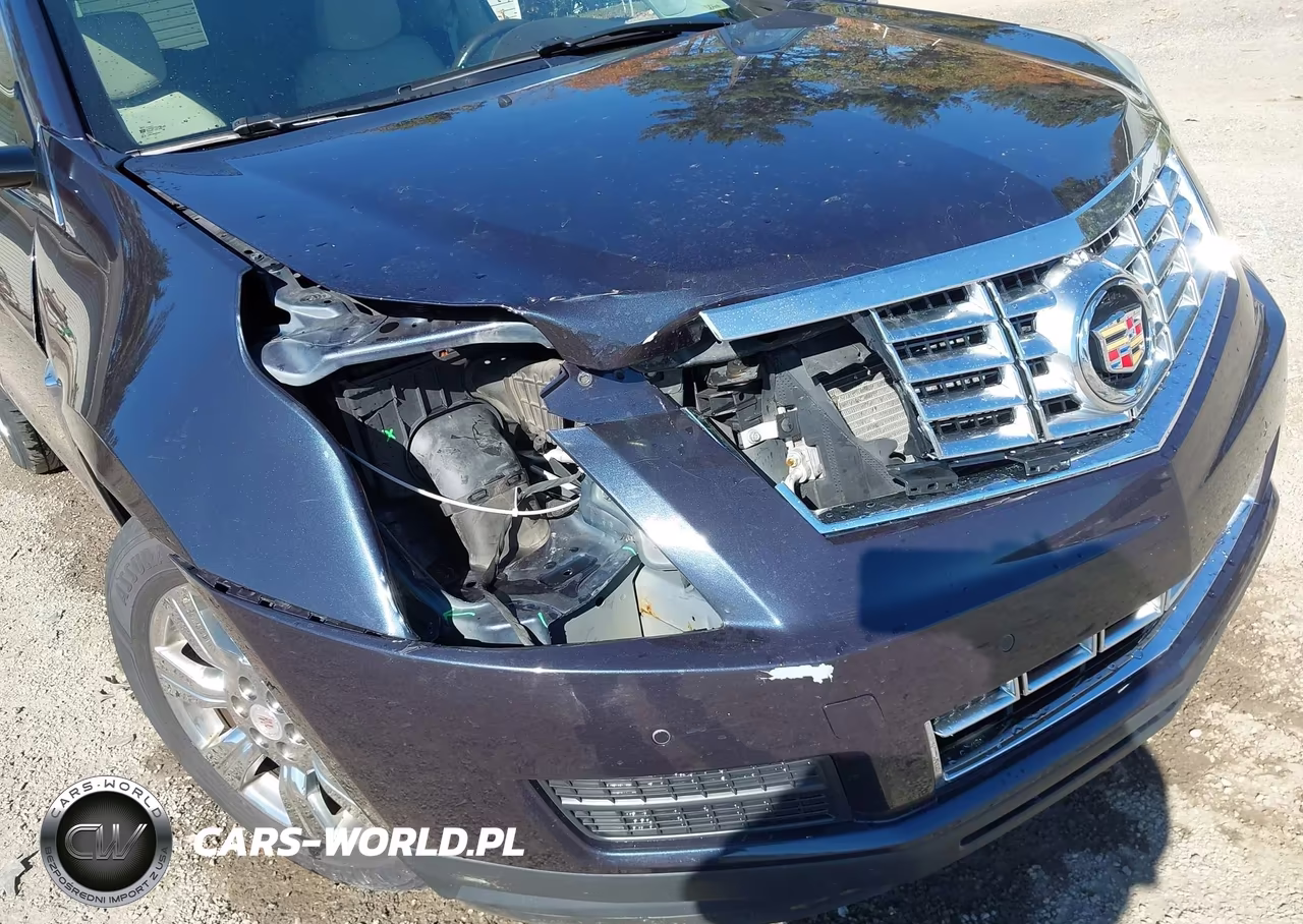 2016 Cadillac Srx Luxury Collection VIN:3GYFNBE34GS504008 - 6