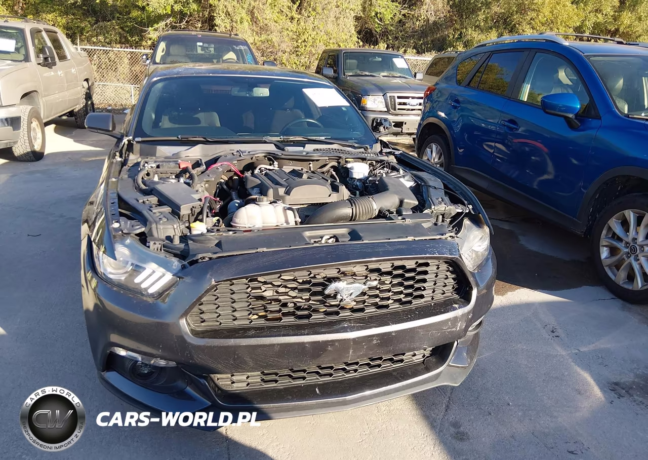2017 Ford Mustang Ecoboost VIN:1FA6P8TH8H5280275 - 12