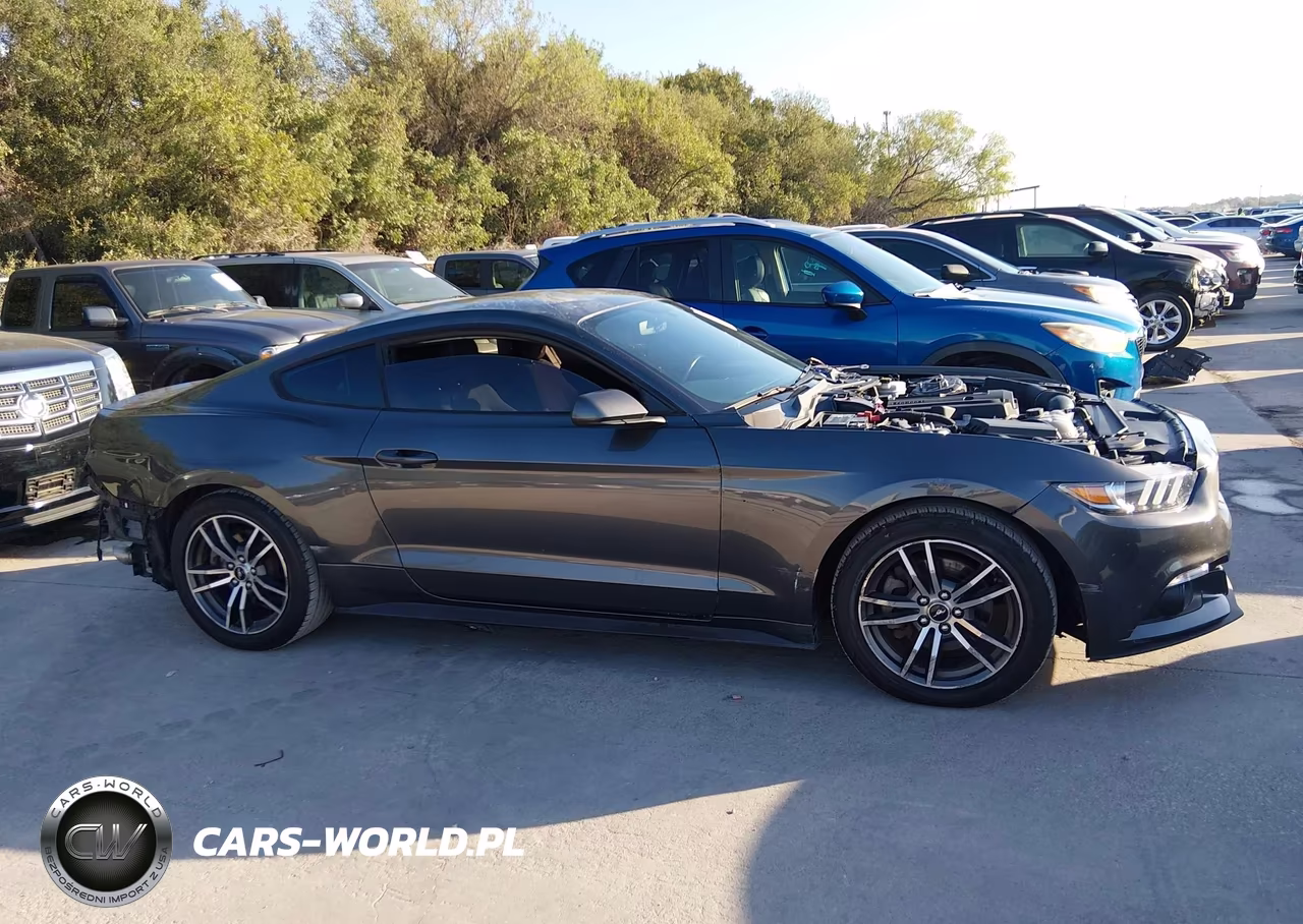 2017 Ford Mustang Ecoboost VIN:1FA6P8TH8H5280275 - 13
