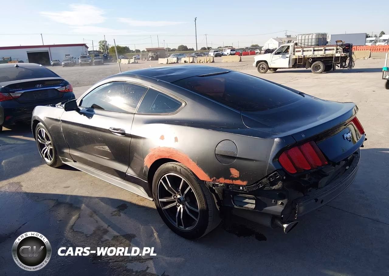 2017 Ford Mustang Ecoboost VIN:1FA6P8TH8H5280275 - 14