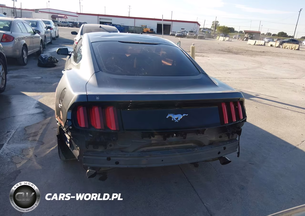 2017 Ford Mustang Ecoboost VIN:1FA6P8TH8H5280275 - 16