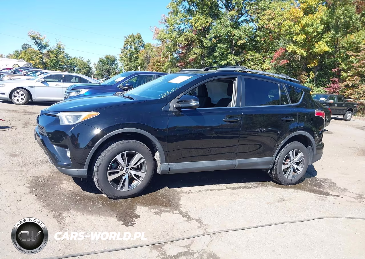 2018 Toyota Rav4 Xle VIN:2T3RFREV7JW772281 - 14