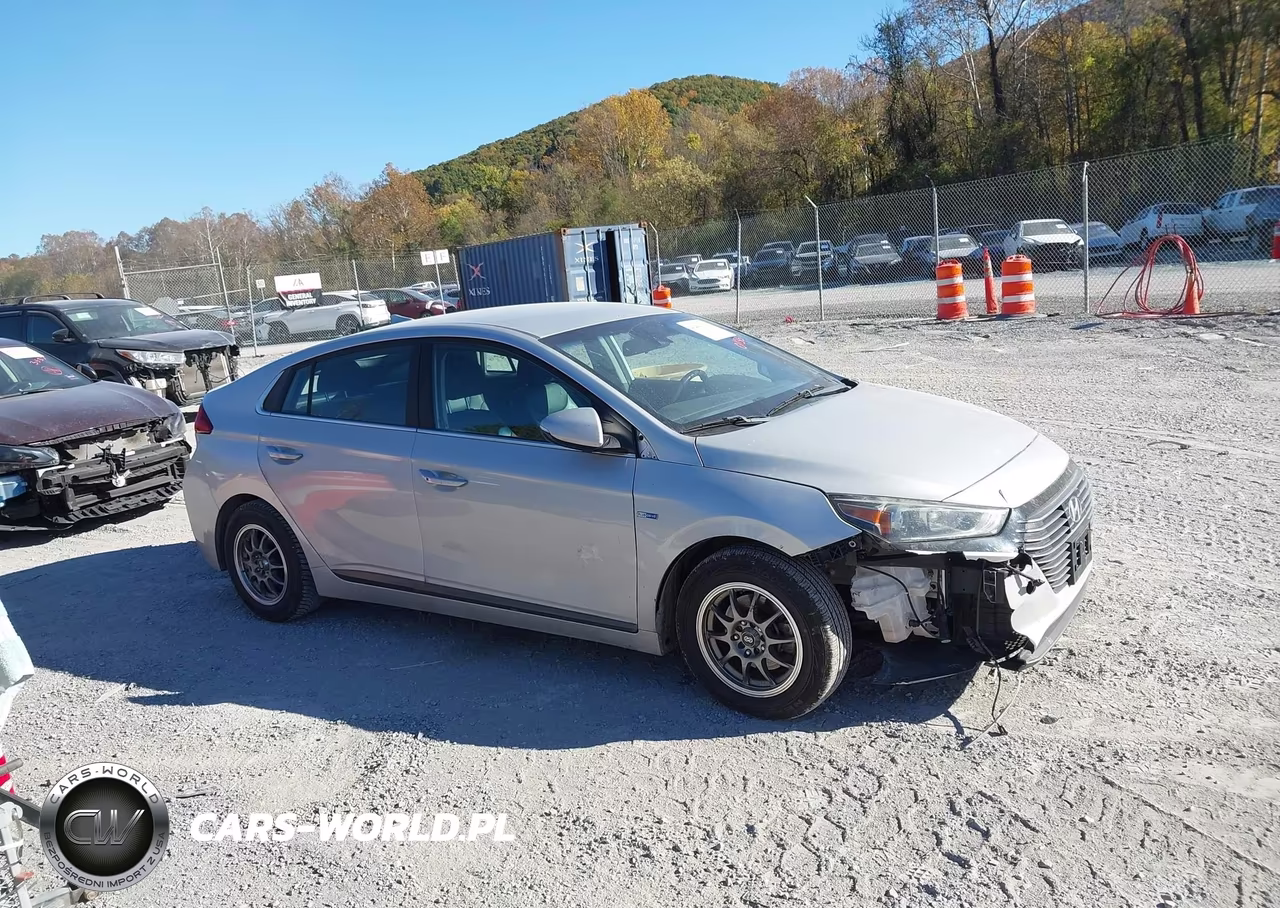 2018 HYUNDAI IONIQ SEL VIN:KMHC75LC1JU060063 - 13