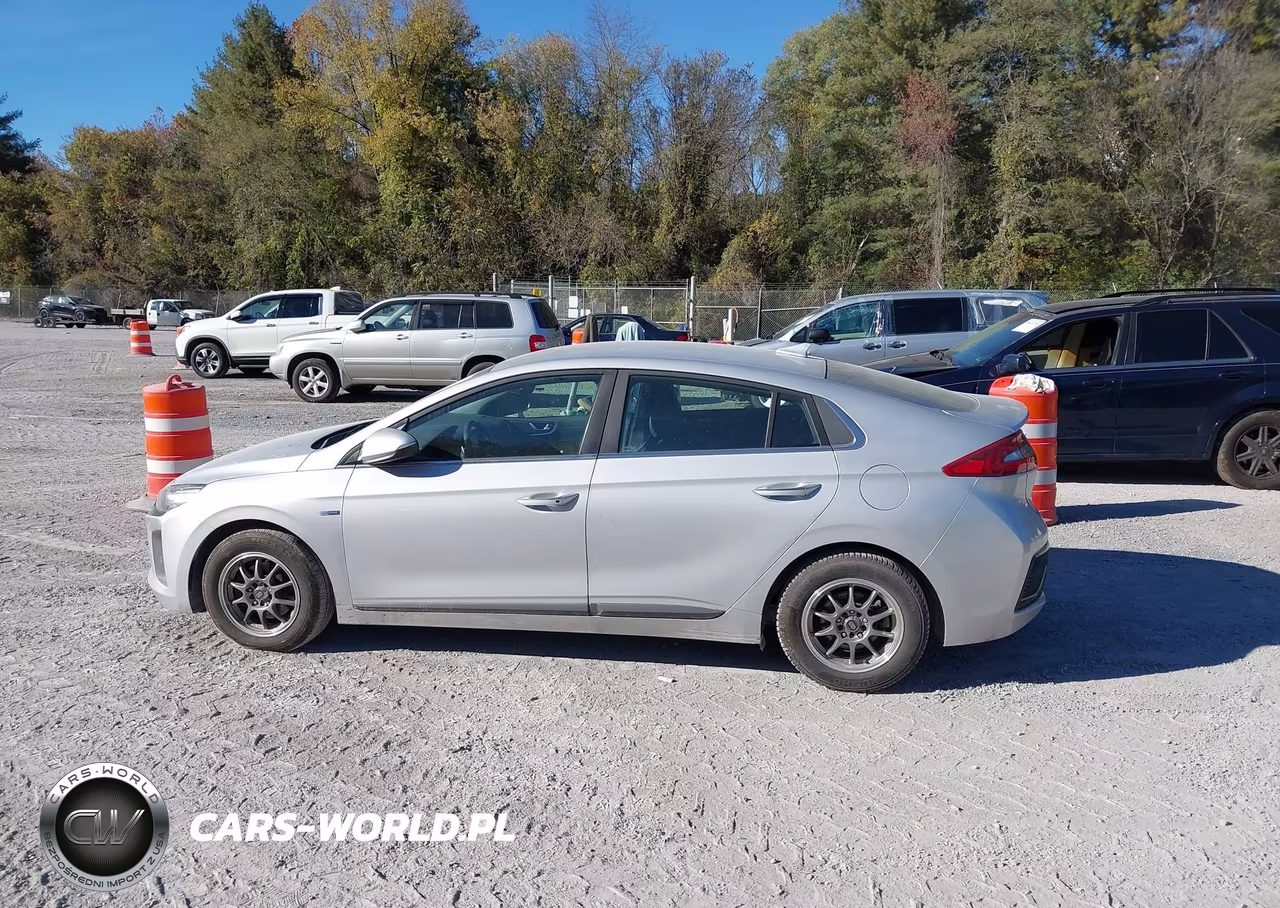 2018 HYUNDAI IONIQ SEL VIN:KMHC75LC1JU060063 - 14