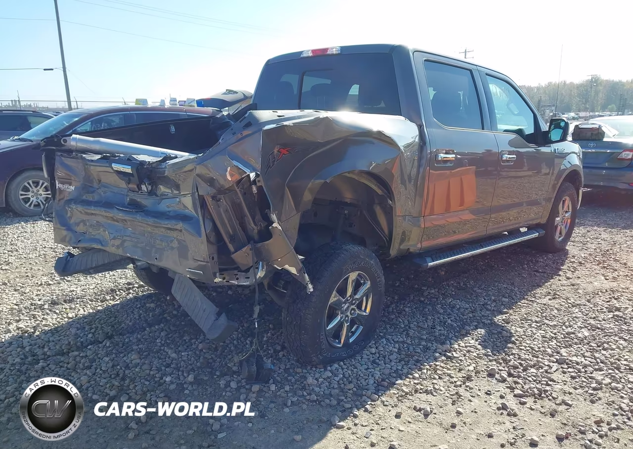 2020 Ford F-150 Xlt VIN:1FTEW1EP5LKF14838 - 4