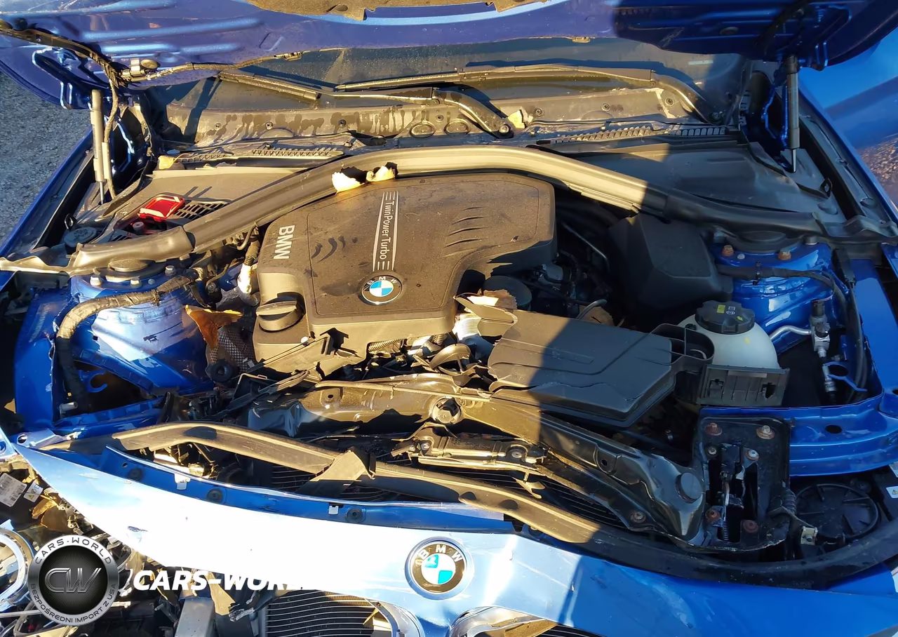 2016 BMW 428I Gran Coupe xDrive VIN:WBA4C9C52GG139775 - 10