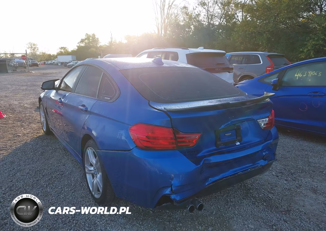 2016 BMW 428I Gran Coupe xDrive VIN:WBA4C9C52GG139775 - 3