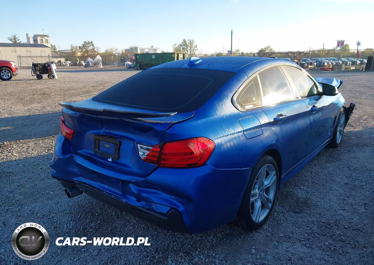 2016 BMW 428I Gran Coupe xDrive VIN:WBA4C9C52GG139775 - 4